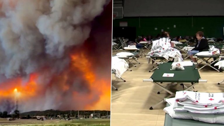 New Mexico wildfires: নিউ মেক্সিকোতে ভয়াবহ দাবানল, নিহত ২ জন