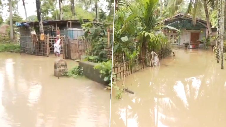 Assam Flood: বন্যায় বিপর্যস্ত অসম, জলে ডুবে ৩৫টি গ্রাম, দেখুন ভিডিও