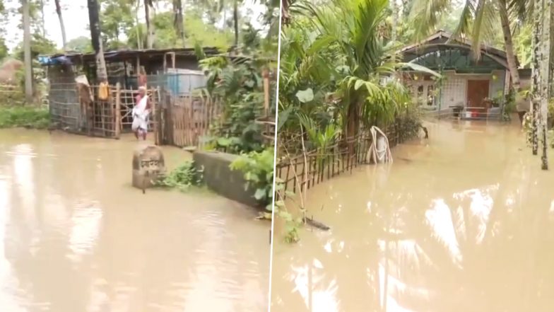 Assam Flood: বন্যায় বিপর্যস্ত অসম, জলে ডুবে ৩৫টি গ্রাম, দেখুন ভিডিও
