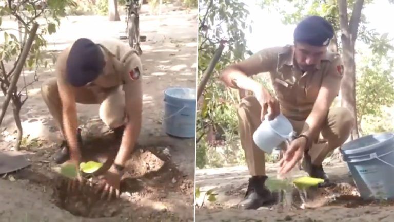 Chandigarh: গাছ লাগাতে লক্ষ্য লক্ষ্য টাকা খরচ করেন হরিয়ানার ‘ট্রি-ম্যান’, দেখুন ভিডিও 