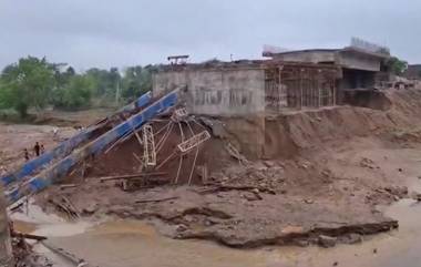 Jharkhand Bridge Collapsed: বিহারের ছায়া ঝাড়খণ্ডেও, হুড়মুড়িয়ে ভেঙে পড়ল নির্মীয়মাণ সেতু