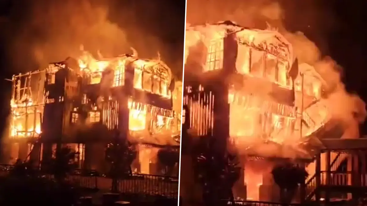 Fire in Hollong forest bungalow: রাতের অন্ধকারে ঘটল অঘটন! আগুনে পুড়ে ছাঁই পর্যটকদের অন্যতম আকর্ষণ ঐতিহ্যবাহী হলং বনবাংলো