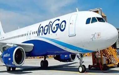 IndiGo flight receives Bomb threat: ইন্ডিগোর ফ্লাইটে বোমাতঙ্ক! মুম্বইতে নিরাপদে বিমানটি অবতরণ করালেন পাইলট, সুরক্ষিত যাত্রীরা