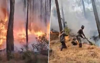 Jammu & Kashmir: ফের রাজৌরির জঙ্গলে আগুন! নেভালো বনকর্মীরা, চিন্তায় স্থানীয় প্রশাসন