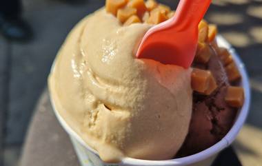 Centipede in Ice-Cream Tub: অনলাইনে আইসক্রিম অর্ডার! বক্স খুলতেই মিলল কেন্নো, ঘটনার তদন্তে খাদ্য সুুরক্ষা দফতর