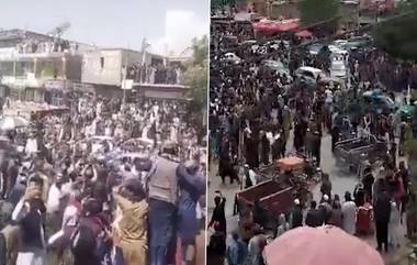 Afghan Fans Celebration Video: আফগানদের ঐতিহাসিক জয়ের পর বিজয় উৎসব দেশ জুড়ে (দেখুন ভিডিও)