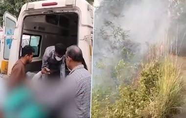 Video: উত্তরাখণ্ডের বিনসারের জঙ্গলে ভয়াবহ আগুন, নিহত ৪