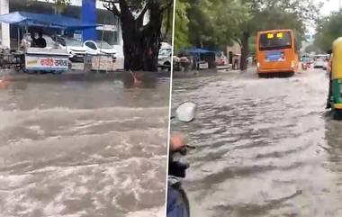 Delhi Rain: রাতভর ভারী বর্ষণে জলমগ্ন রাজধানী দিল্লির বিভিন্ন অংশ (দেখুন ভিডিও )