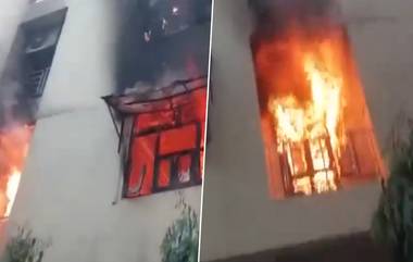 UP Fire Incident: এসির ইউনিটে বিস্ফোরণ, গাজিয়াবাদের বসুন্ধরায় দোতলা বাড়িতে আগুন (দেখুন ভিডিও)