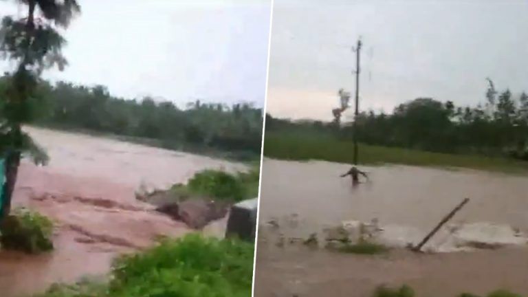 Karnataka Rain: এক নাগাড়ে বৃষ্টি কর্ণাটকে, নষ্ট বিঘের পর বিঘে জমির ফসল, মাথায় হাত কৃষকদের