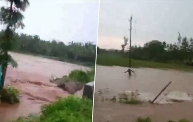 Karnataka Rain: এক নাগাড়ে বৃষ্টি কর্ণাটকে, নষ্ট বিঘের পর বিঘে জমির ফসল, মাথায় হাত কৃষকদের