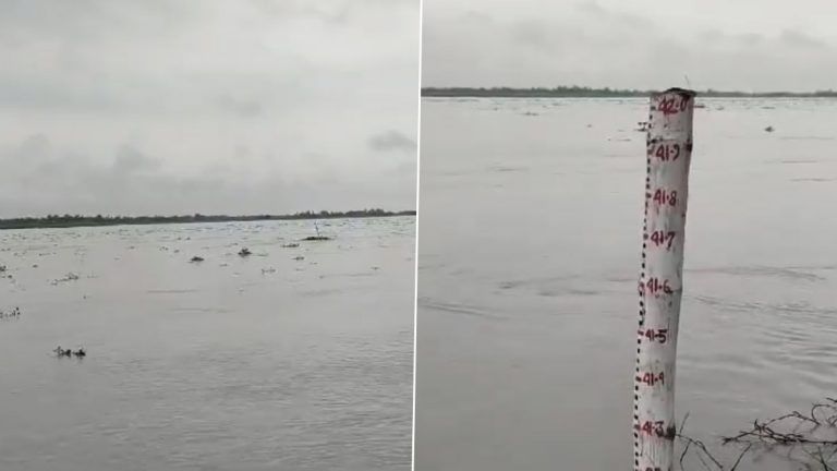 Heavy Rainfall In Cooch Behar: পাহাড়ে এবং সমতল ভূমিতে লাগাতার বৃষ্টিতে কোচবিহারের নদীস্তরে বাড়ল জল (দেখুন ভিডিও)