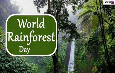 World Rainforest Day 2024: বিশ্ব রেইনফরেস্ট দিবস কবে? জেনে নিন এই দিনের ইতিহাস ও গুরুত্ব...