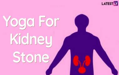 Yoga For Kidney Stone: কিডনিতে পাথরের সমস্যা? এই যোগাসনগুলো করলে প্রস্রাবের মাধ্যমে বের হতে পারে পাথর...