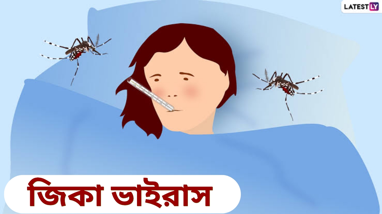 Zika Virus: বৃষ্টির সঙ্গে ভারতে প্রবেশ করেছে জিকা ভাইরাস! জেনে নিন জিকা ভাইরাসের লক্ষণ ও প্রতিরোধ...