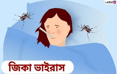 Zika Virus In Pregnancy: গর্ভবতী মহিলারা শিকার হচ্ছে জিকা ভাইরাসের, জেনে নিন গর্ভবতী মহিলা ও শিশুর উপর এর কি প্রভাব পড়তে পারে...