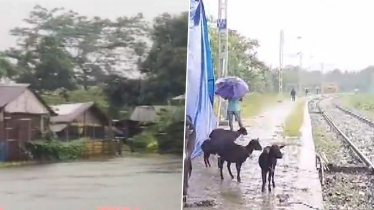 Assam Flood: ভয়াবহ বন্যায় বিপর্যস্ত অসম, মৃতের সংখ্যা বেড়ে ৩০,ক্ষতিগ্রস্ত ৩ লক্ষের বেশি মানুষ, দেখুন ভিডিয়ো