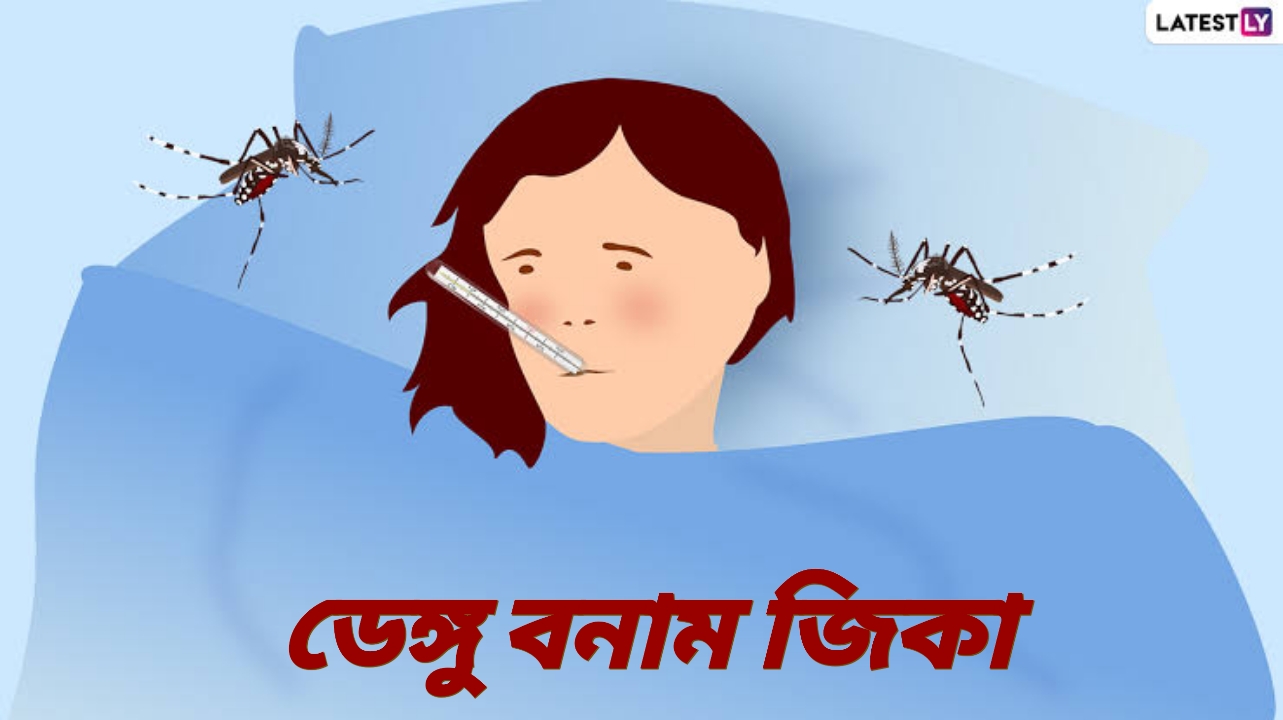 Zika Virus vs Dengue: মশাবাহিত রোগ ডেঙ্গু এবং জিকা ভাইরাস, জেনে নিন কোন রোগটি বেশি ক্ষতিকারক...