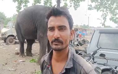 Elephant Arrested: জোড়া খুনের অভিযোগে গ্রেফতার হাতি,ঘটনায় চাঞ্চল্য গোটা এলাকায়