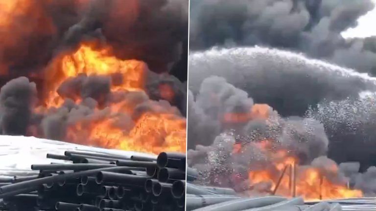 Fire In Madhya Pradesh: বেসরকারি কোম্পানিতে ভয়াবহ অগ্নিকাণ্ড, দেখুন ভিডিয়ো