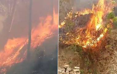 Forest Fire: ২৪ ঘণ্টা ধরে জ্বলছে হিমাচলের বনাঞ্চল, গ্রামের দিকে এগিয়ে আসছে আগুন, দেখুন ভিডিয়ো