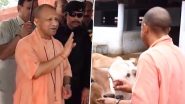 Yogi Adityanath: উত্তরপ্রদেশে ৭০-এর বেশি আসনে জয়! ভোট মিটতেই গোরখধাম মন্দিরে যোগী আদিত্যনাথ, নিজের হাতে খাওয়ালেন গরুদের