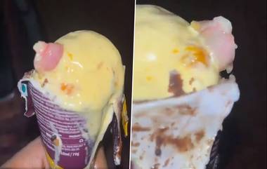 Finger In Ice Cream:আইসক্রিমে মেলা কাটা আঙুল কারখানার কর্মীর, মুম্বই পুলিশের হাতে বড় তথ্য