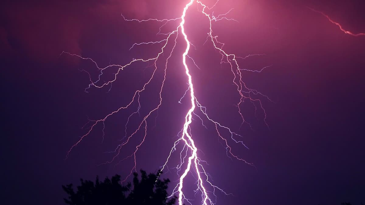 Lightning: স্কুল থেকে বাড়ি ফেরার পথে বজ্রাঘাতে মৃত্যু ৬ পড়ুয়া সহ ২ জনের, ক্ষতিপূরণ ঘোষণা মুখ্যমন্ত্রীর