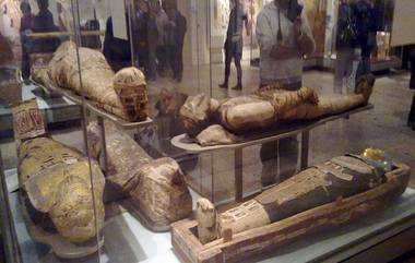 Mummies Found: মিশরে উদ্ধার ৯০০ বছরের পুরনো ১৪০০টি মমি