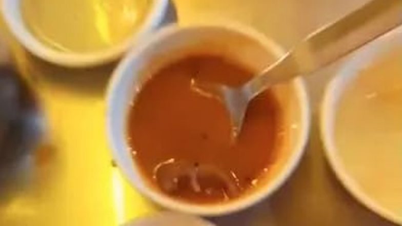 Viral Video: সাম্বারে ভাসছে মরা ইঁদুর, ভিডিয়ো ভাইরাল হতেই কাঠগড়ায় আমেদাবাদের ফুড জয়েন্ট