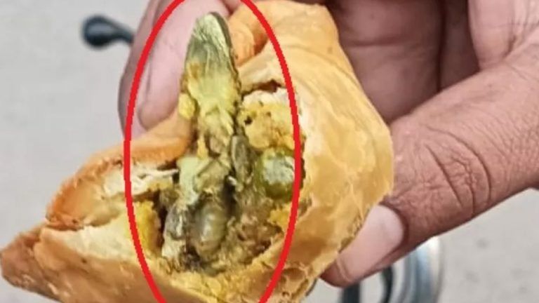 Watch Video: কেন্নো, ইঁদুরের পর এ বার সিঙাড়ায় মিলল টিকটিকি, দেখুন ভিডিয়ো