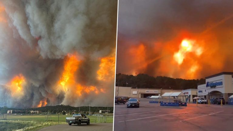 Ruidoso Wildfire Videos: মেক্সিকোর ৩,৩০০ একর বনাঞ্চলে ভয়াবহ আগুন, দাউ দাউ করে জ্বলছে ঘরবাড়ি, অসহায় মানুষ