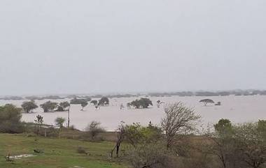 Heavy Rain In Gujarat: অতি বৃষ্টিতে বিপর্যস্ত গুজরাটের জুনাগড়, পরিস্থিতি মোকাবিলায় হাজির এনডিআরএফ জওয়ানরা