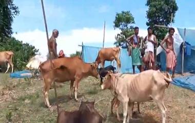 Flood Condition In Assam: ক্রমে ভয়াবহ রূপ ধারণ করছে অসমের বন্যা, প্রাণ হারালেন আরও ৮ জন